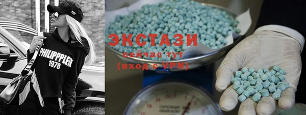 индика Заволжье