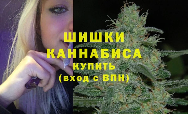 марки nbome Заводоуковск