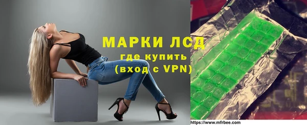 индика Заволжье