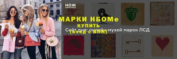 индика Заволжье