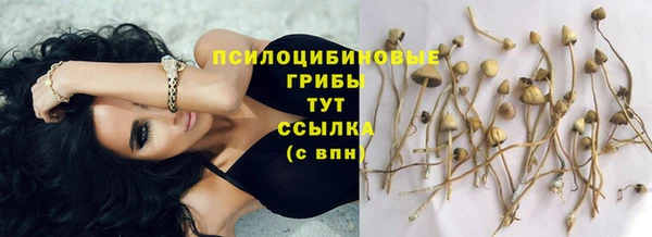 марки nbome Заводоуковск