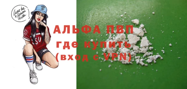 индика Заволжье