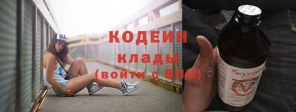 индика Заволжье