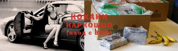 индика Заволжье