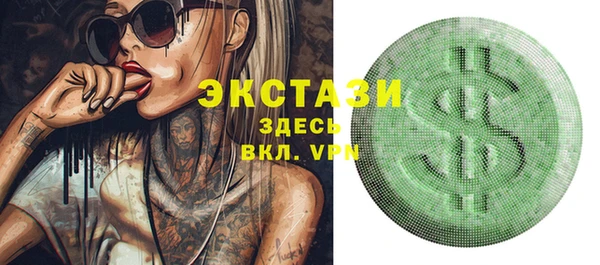 индика Заволжье