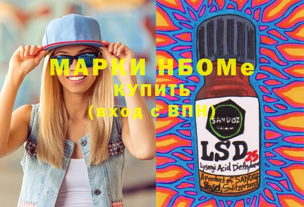 индика Заволжье