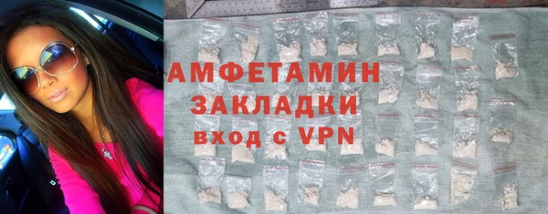 индика Заволжье