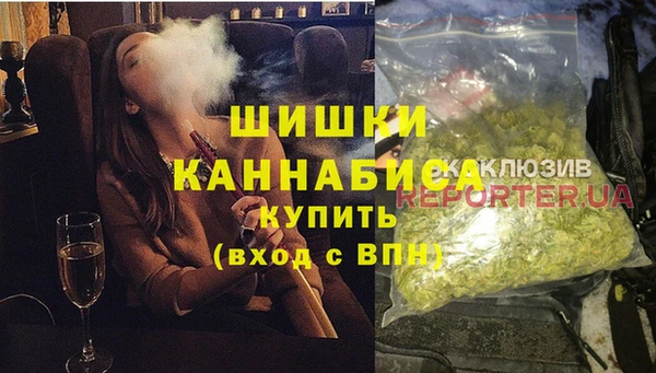 индика Заволжье