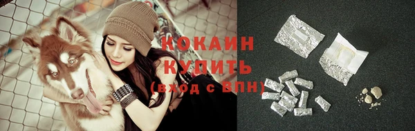 мдпв Фёдоровский