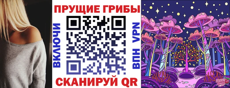 Галлюциногенные грибы Psilocybine cubensis  Нурлат 