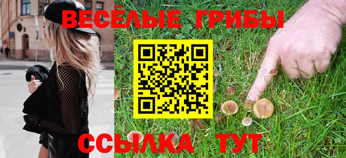 Галлюциногенные грибы Cubensis Нурлат