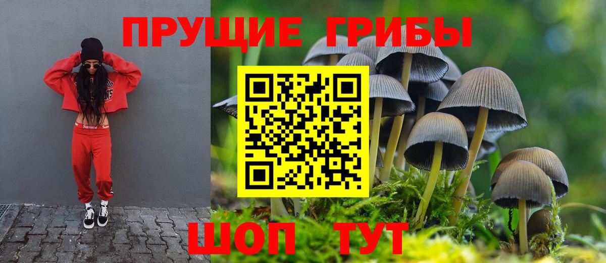 Псилоцибиновые грибы Psilocybine cubensis  Псилоцибиновые грибы ЛСД  Вход с VPN  Нурлат 